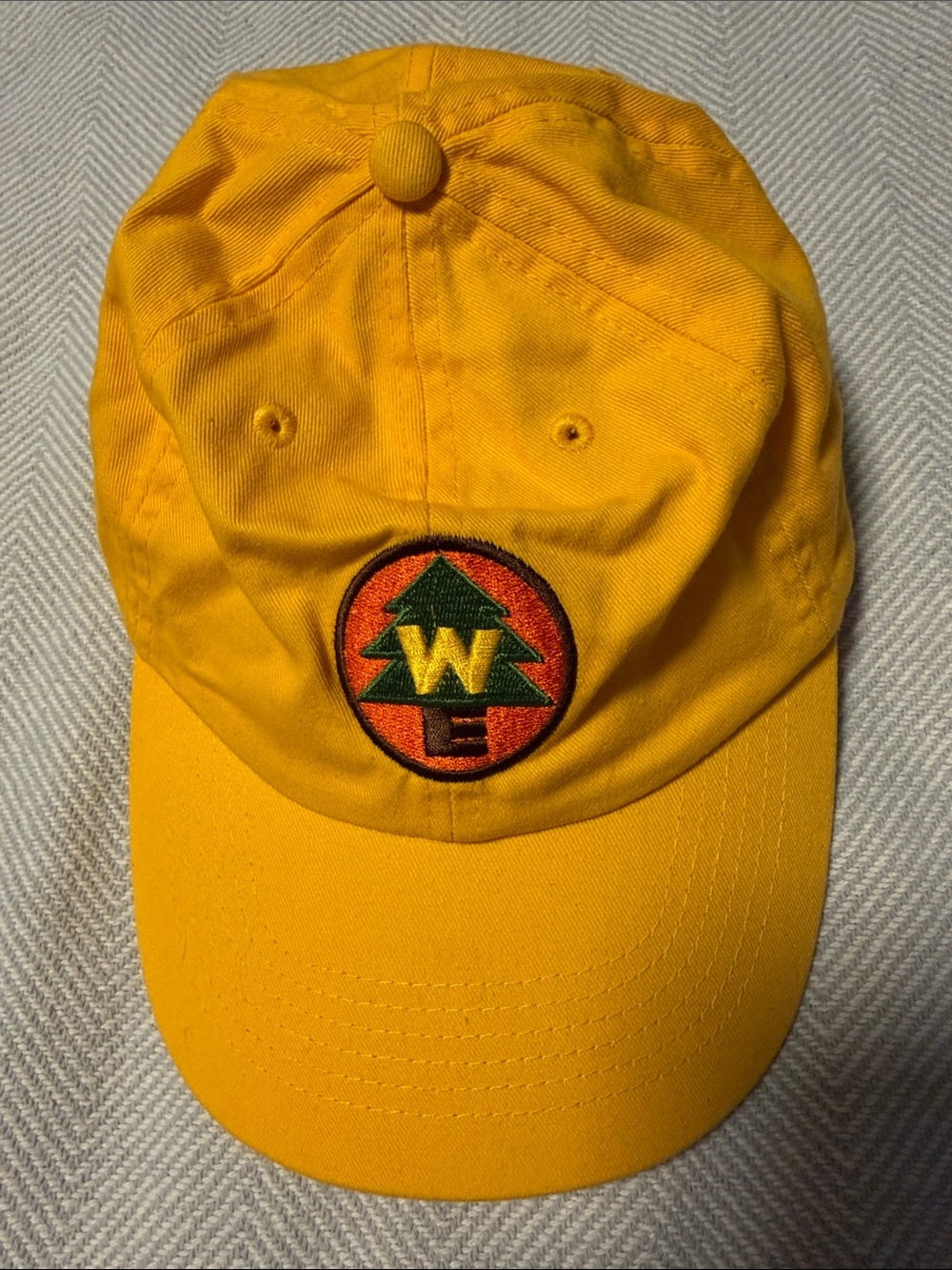 Up’s Russell Wilderness Explorer Baseball Cap (no brand)